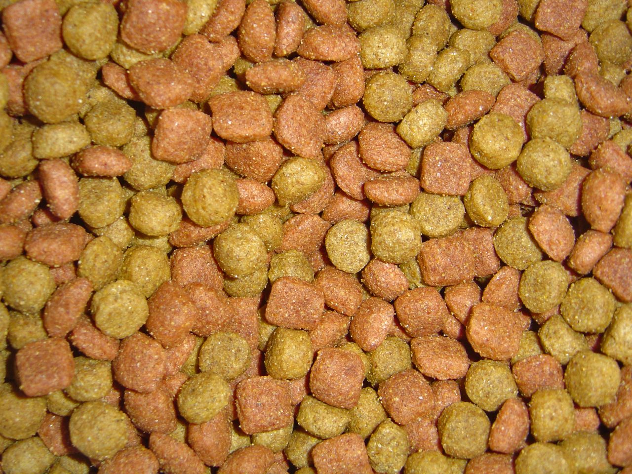 A close-up of mixed brown and green kibble