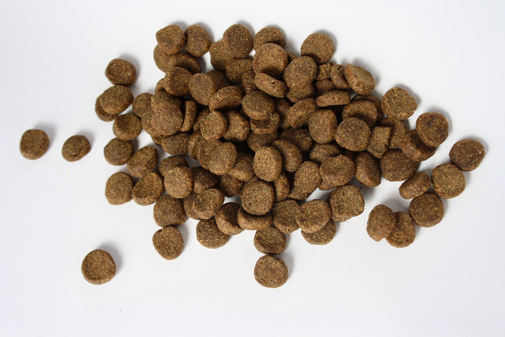 A pile of round brown kibble on a white background