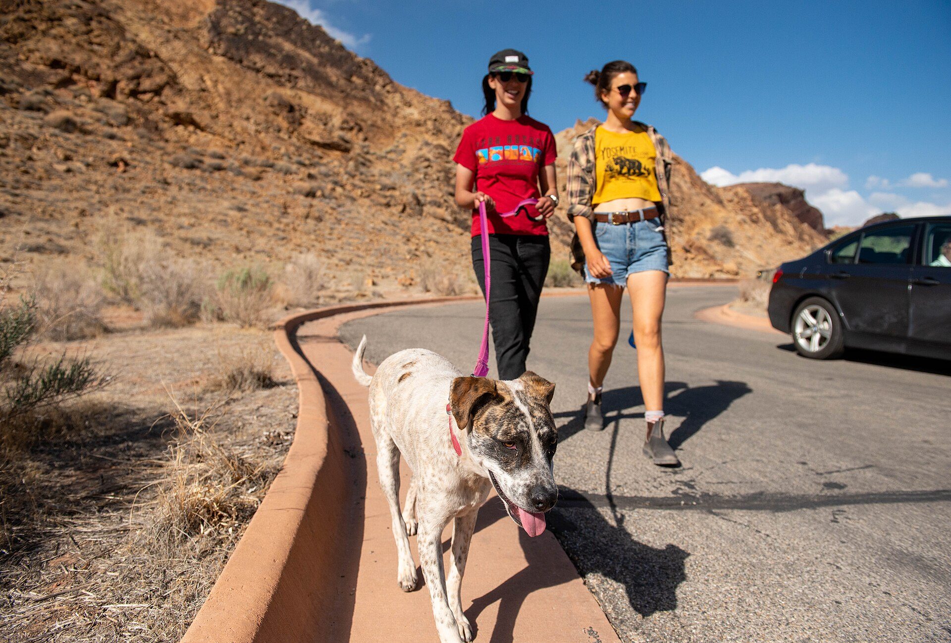 Two people walking a dog on a lead along a road