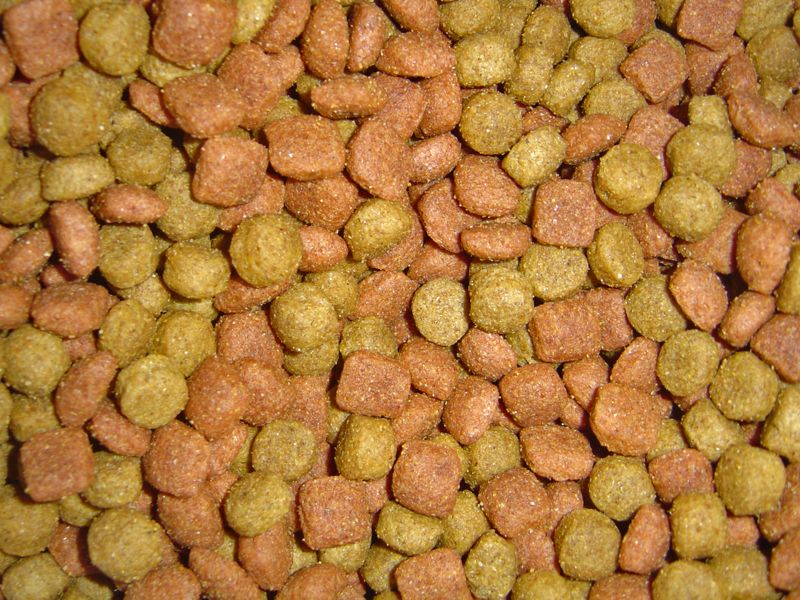 A close-up of mixed brown and green kibble